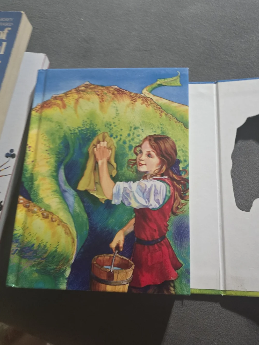Green Dragonsdale Kids Book IGC